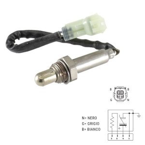 Oxygen sensor RMS