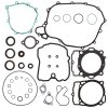 Complete Gasket Kit with Oil Seals WINDEROSA CGKOS 811369