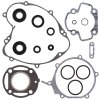 Complete Gasket Kit with Oil Seals WINDEROSA CGKOS 811402