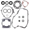 Complete Gasket Kit with Oil Seals WINDEROSA CGKOS 811409