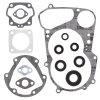 Complete Gasket Kit with Oil Seals WINDEROSA CGKOS 811416