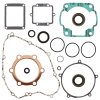 Complete Gasket Kit with Oil Seals WINDEROSA CGKOS 811471