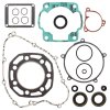 Complete Gasket Kit with Oil Seals WINDEROSA CGKOS 811473