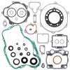 Complete Gasket Kit with Oil Seals WINDEROSA CGKOS 811478