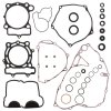 Complete Gasket Kit with Oil Seals WINDEROSA CGKOS 811481