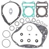 Complete Gasket Kit with Oil Seals WINDEROSA CGKOS 811530