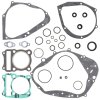 Complete Gasket Kit with Oil Seals WINDEROSA CGKOS 811532