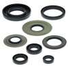 Engine Oil Seal Kit WINDEROSA EOSK 822155