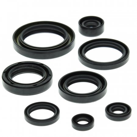 Engine Oil Seal Kit WINDEROSA EOSK 822157