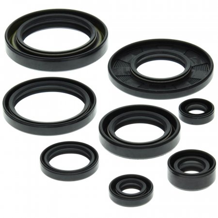 Engine Oil Seal Kit WINDEROSA EOSK 822158