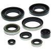 Engine Oil Seal Kit WINDEROSA EOSK 822159