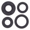 Engine Oil Seal Kit WINDEROSA EOSK 822168