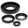 Engine Oil Seal Kit WINDEROSA EOSK 822169