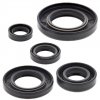 Engine Oil Seal Kit WINDEROSA EOSK 822165