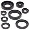 Engine Oil Seal Kit WINDEROSA EOSK 822173