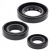 Engine Oil Seal Kit WINDEROSA EOSK 822180