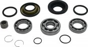 Kit rulmenti si garnituri diferential All Balls Racing DB25-2137 25-2137 spate