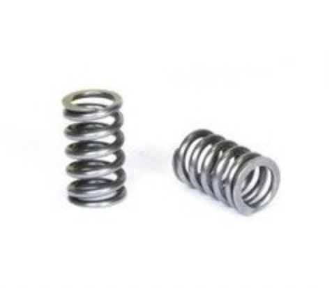 Valve spring AOKI