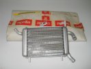 Radiator AP8202211 Radiator Aprilia